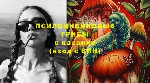 ешки Костерёво