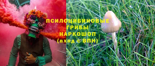 ешки Костерёво
