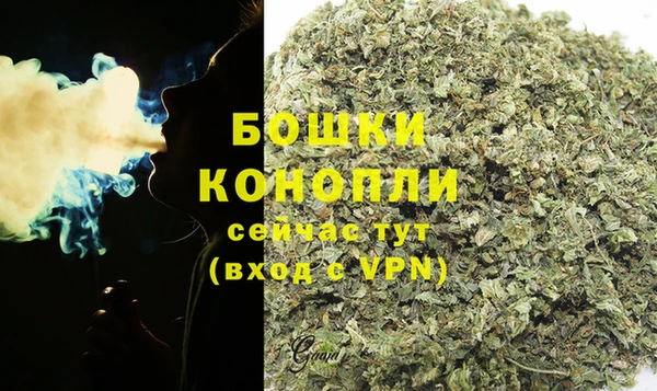 твердый Коряжма