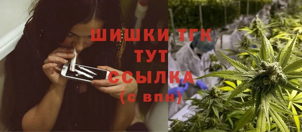 твердый Коряжма