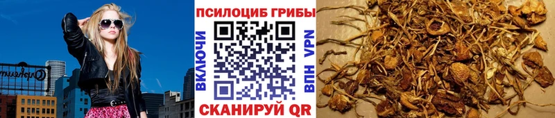 OMG как войти  Артём  Галлюциногенные грибы мухоморы  где найти  