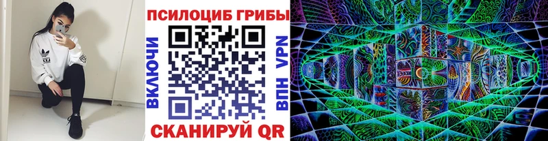 Псилоцибиновые грибы GOLDEN TEACHER Артём