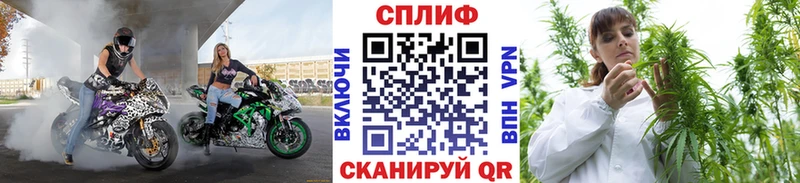 Шишки марихуана Bruce Banner Артём